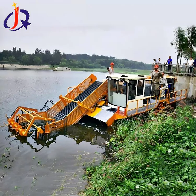 Хиацинт и водна леща